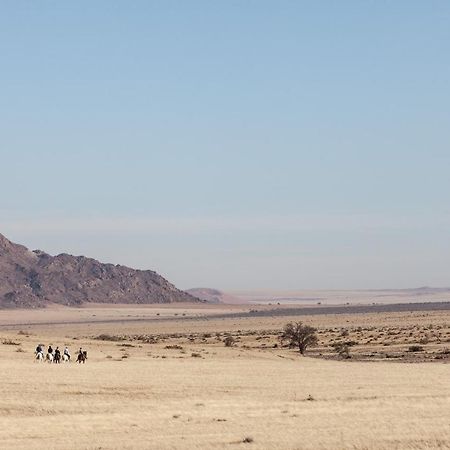 Desert Homestead Lodge Сесрием Экстерьер фото